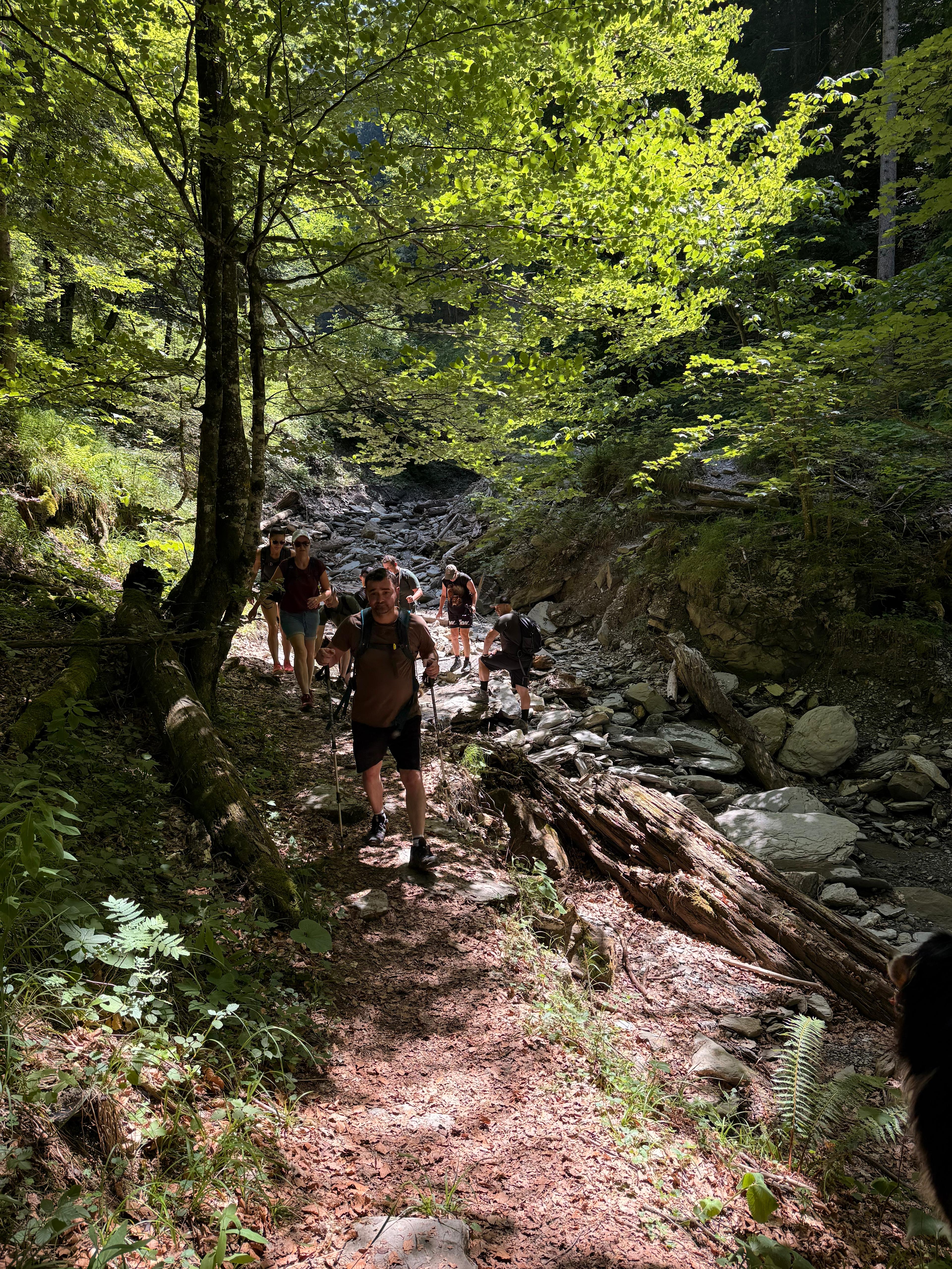 /user/pages/02.berichte/gelungener-wandertag-des-ksv-goetzis/145c590d-3a68-45e1-b365-ec8a726521ca.JPG