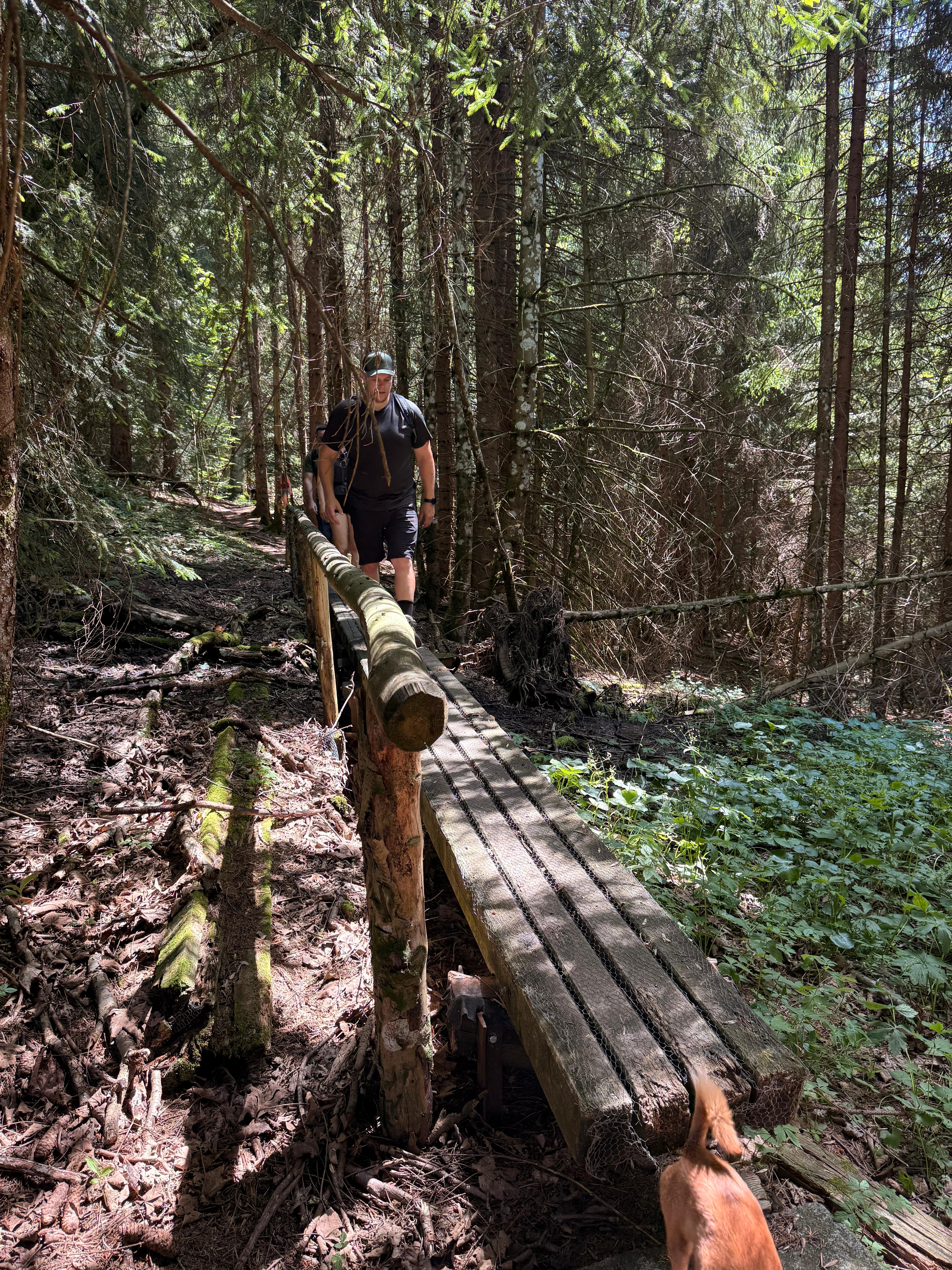 /user/pages/02.berichte/gelungener-wandertag-des-ksv-goetzis/6aa79deb-79fe-461a-b349-97edbb045625.JPG