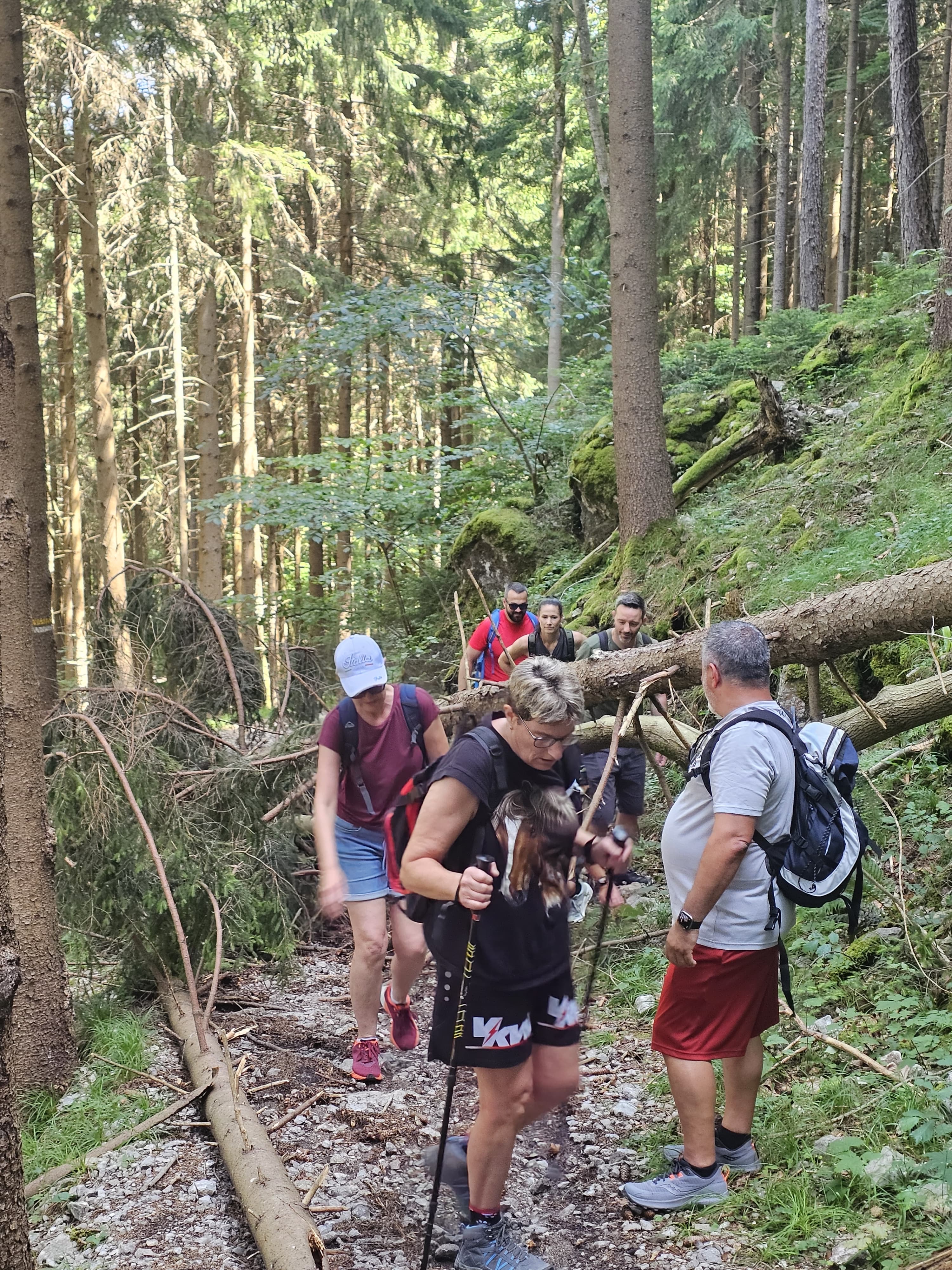 /user/pages/02.berichte/gelungener-wandertag-des-ksv-goetzis/83e2a37e-fd32-4e72-b5ca-dc8c6a8f9fbc.JPG