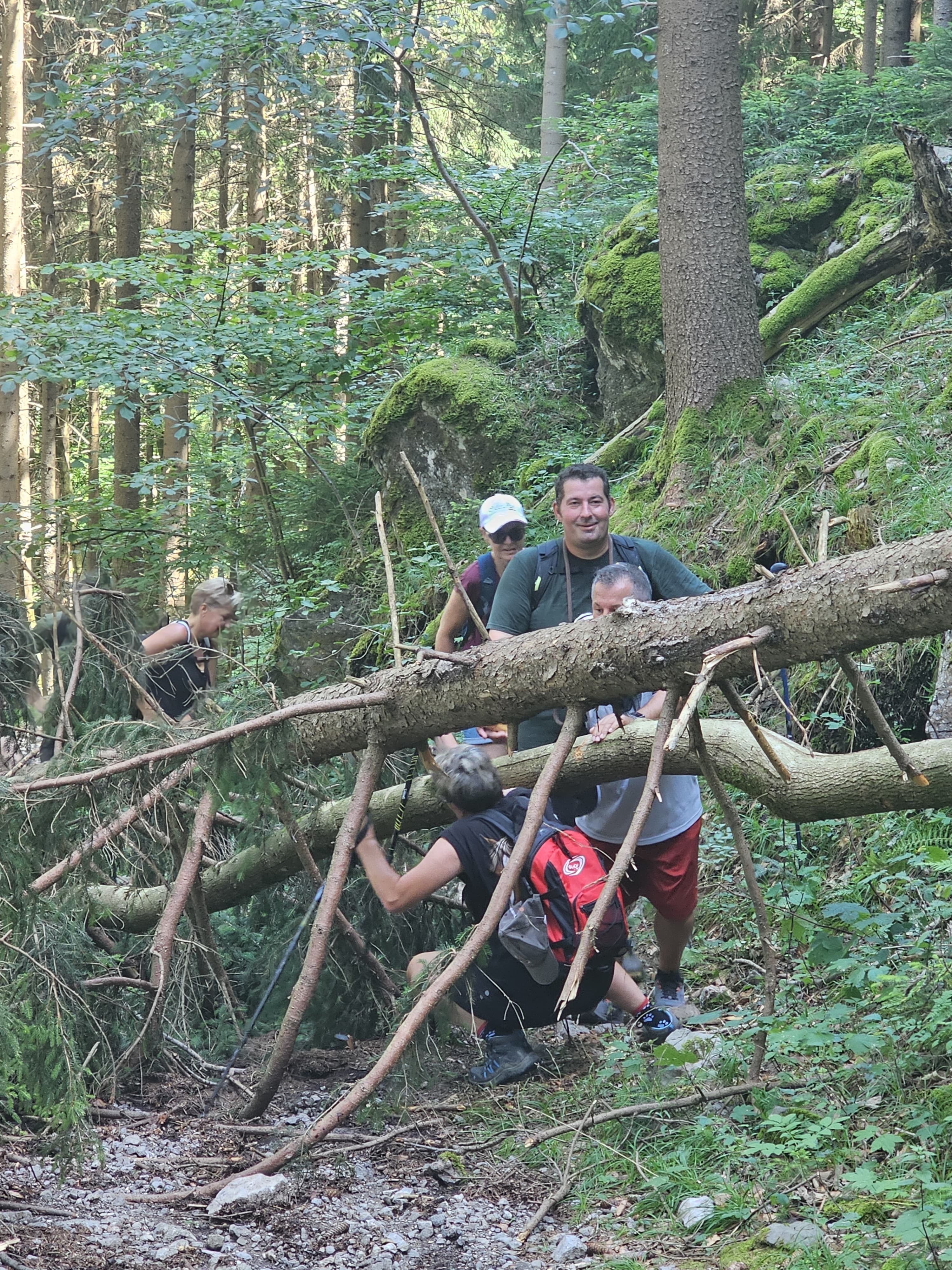 /user/pages/02.berichte/gelungener-wandertag-des-ksv-goetzis/c1ff894c-770c-4d92-a075-2c0f431210bd.JPG